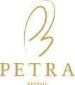 Petra-Logo-Gold